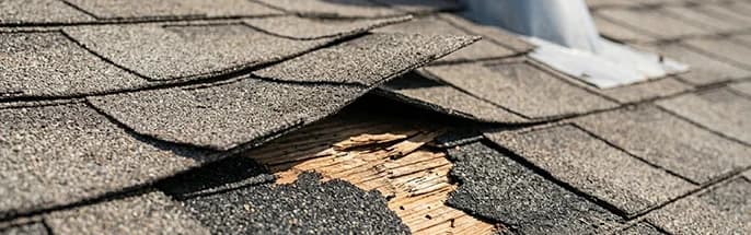 Shingles rasgados expondo o madeiramento do telhado após danos de vento no sul da Flórida.