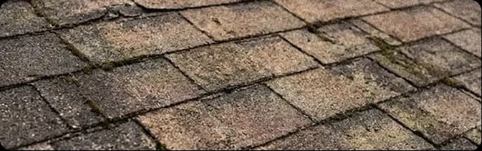 Telhas asfálticas desgastadas com limo e perda de grânulos em um telhado envelhecido no sul da Flórida.