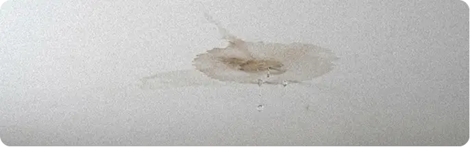 Mancha de água se espalhando pelo teto interno por causa de um vazamento recorrente no telhado.